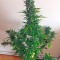 Семена сорта White Widow XXL Autoflowering fem