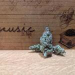 blueberry-muffin-fem-humboldt-seed-company.jpg
