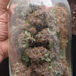 lemon-cherry-cookies-auto-fem-fastbuds.jpg