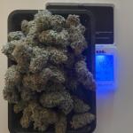 purple-punch-fem-barneys-farm.jpg