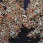 wedding-cheesecake-auto-fem-fastbuds.jpeg