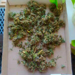wedding-cake-auto-fem-Semyanich.jpg