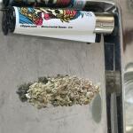 blueberry-muffin-fem-humboldt-seed-company.jpg