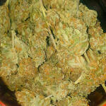 banana-purple-punch-auto-fem-fastbuds.jpg