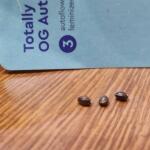totally-alpha-og-auto-fem-alphafem-seeds.jpg