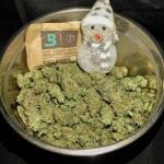 mac-n-jack-r1-fem-ethos-genetics.jpg