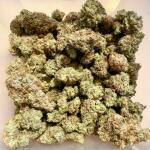 the-white-fire-og-fem-seedkeepers.jpg