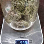 moonshine-cookies-auto-fem-7ch-american.jpg