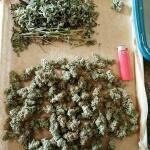 godfather-og-auto-fem-7ch-american.jpg