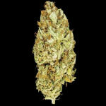 frostbanger-auto-f3-fem-fastbuds.jpg