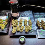 marshmallow-og-fem-compound-genetics.jpg