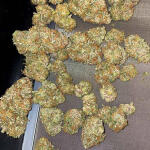 mint-jelly-auto-fem-humboldt-seed-company.jpg