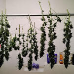 godfather-og-auto-fem-7ch-american.jpg