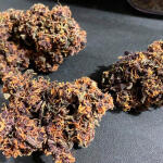 purple-lemonade-auto-fem-fastbuds.jpg