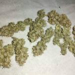 purple-punch-fem-barneys-farm.jpg