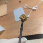 blueberry-muffin-fem-humboldt-seed-company.jpg