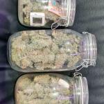 godfather-og-auto-fem-7ch-american.jpg