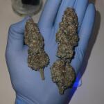 purple-punch-fem-barneys-farm.jpg