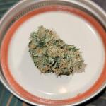 dossidos-cookies-autoflower-fem-easy-grow-seeds.jpg