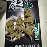 apple-strudel-auto-fem-fastbuds.jpg