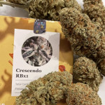 crescendo-rbx1-fem-ethos-genetics.jpg