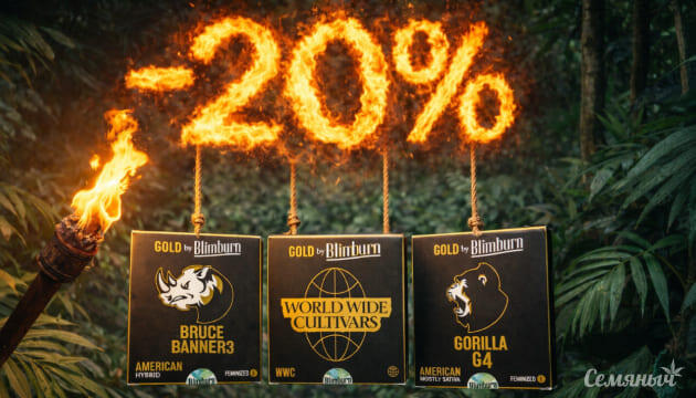 Скидка 20% на Blimburn