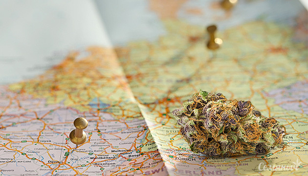 В какой стране лучшая марихуана